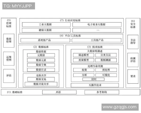 世界足球星级评定标准解析及球员等级划分体系探讨